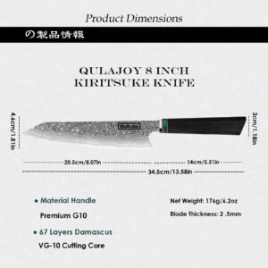 Japanese Gyuto Chef Knife